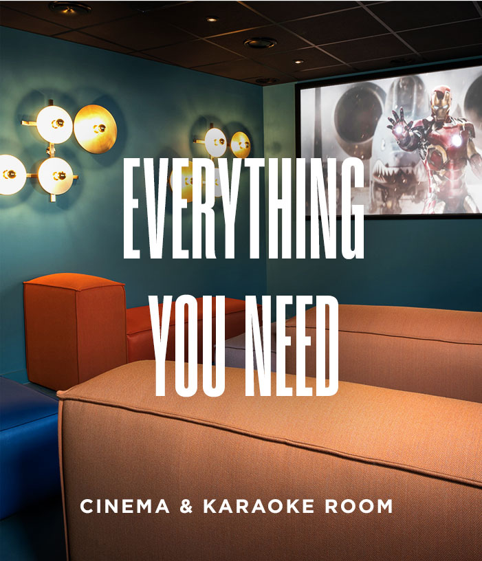 Cinema and karaoke room
